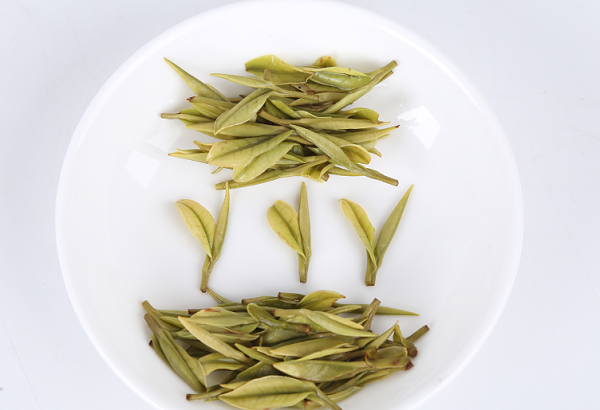 高山茶与平地茶有什么不同，制作工艺对茶叶影响大吗？