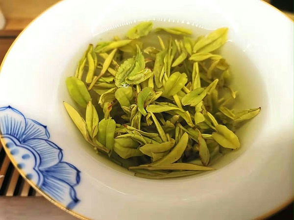 安徽产黄金茶 靠谱是还是选安徽人自己的【鸦鹊山】