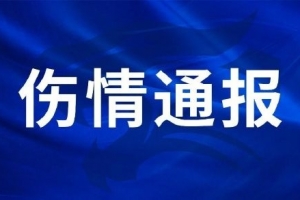 世界杯直播入口_世界杯免费观看_世界杯比赛高清无插件直播